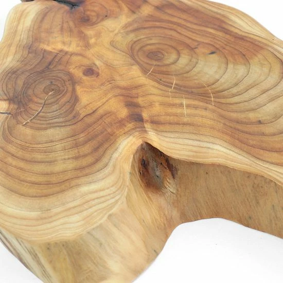 Martha Stewart Fir Root Elevated Server 5 Martha Stewart Fir Root Elevated Server - Image 3